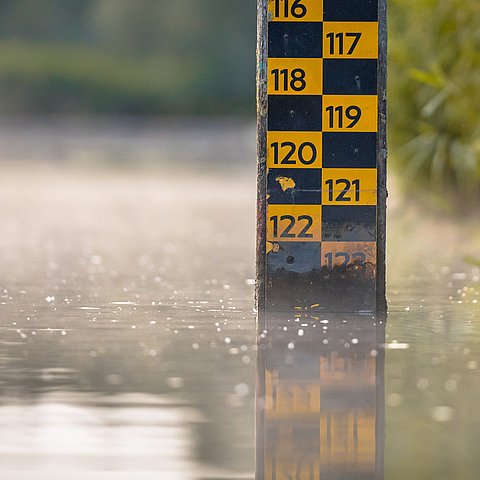 Water,Level,Depth,Meter,In,River,Of,Biesbosch,Nature,Reserve
