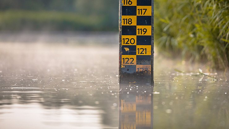 Water,Level,Depth,Meter,In,River,Of,Biesbosch,Nature,Reserve