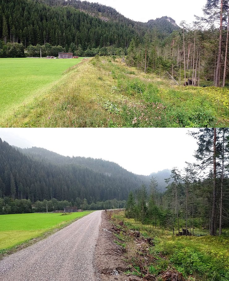 Vergleich Vorher / Nachher