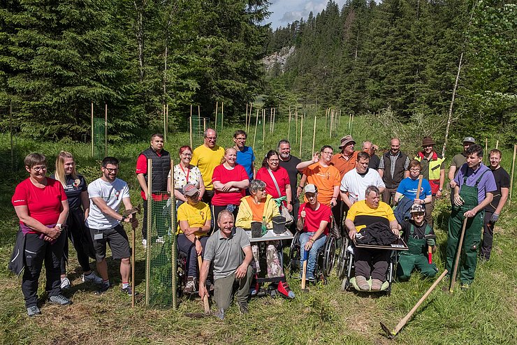 Projektes „bunter lebenshilfewald“