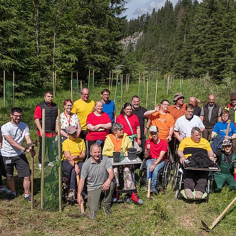 Projektes „bunter lebenshilfewald“