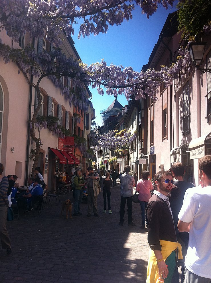 Ausflug nach Freiburg 17. und 18. Mai 2013