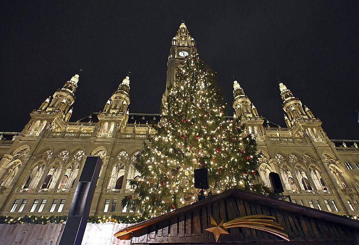 Baum vor Rathaus