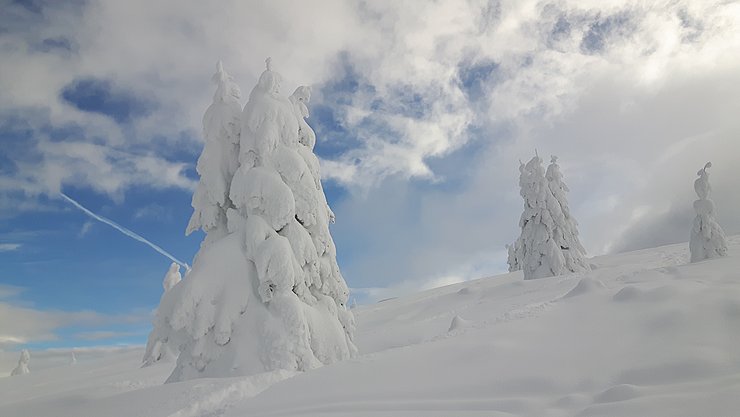 Sportvereinigung der Tiroler Landesbediensteten - Skitour Birgitzköpflhaus am 12.01.2019