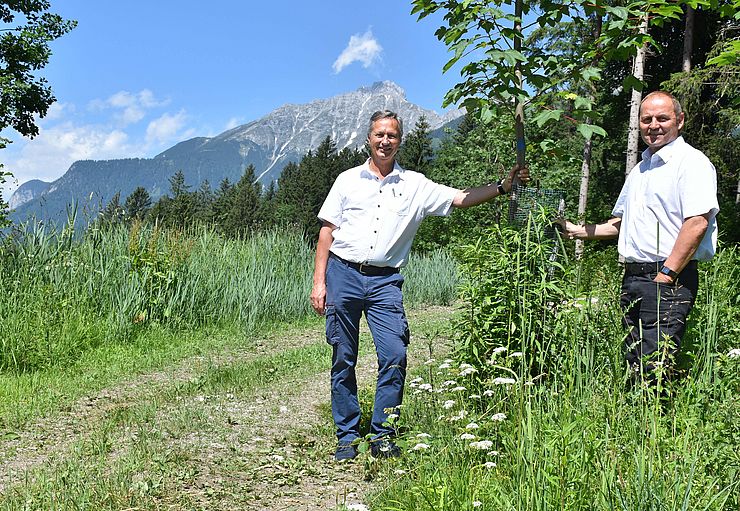 Landesforstdirektor Josef Fuchs und LHStv Josef Geisler setzen auf eine nachhaltige Waldwirtschaft zum Schutz vor Naturgefahren und im Kampf gegen den Klimawandel.  