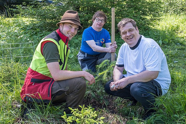 Projektes „bunter lebenshilfewald“