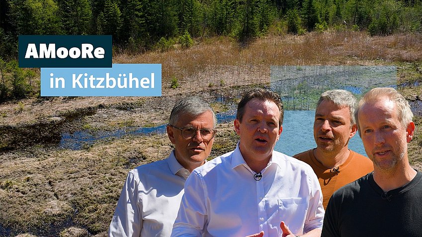 Paradieswiese Kitzbühel | Moorrenaturierung