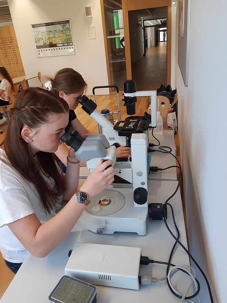 zwei Schülerinnen schauen durch ein Mikroskop