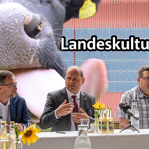 Landeskulturfonds