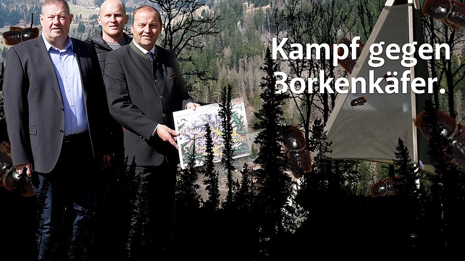 © Land Tirol/Raggl Borkenkäfer in Osttirol