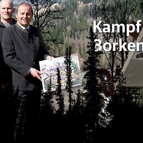 Kampf gegen Borkenkäfer.