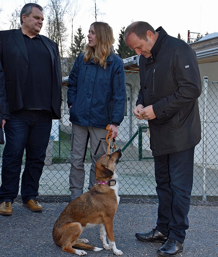 V. li. Christoph Lauscher, Obmann des Tierschutzvereins für Tirol, Geschäftsführerin Kristin Müller und LHStv Josef Geisler.