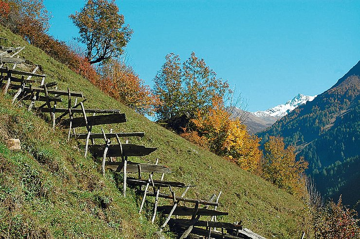 Schrägzaun in steilem Gelände