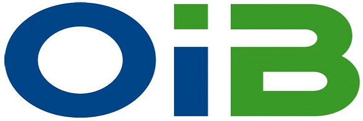 Logo des Österreichischen Instituts für Bautechnik