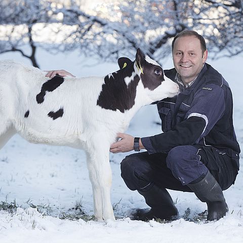 1.300 Kälber wurden mithilfe der Initiative von Landeshauptmannstellvertreter Josef Geisler zur Stärkung des Kalbfleischabsatzes im Land Tirol innerhalb von nur sechs Wochen zur regionalen Vermarktung angemeldet.