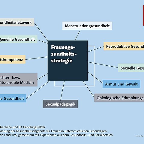 Grafik mit den Themenfeldern