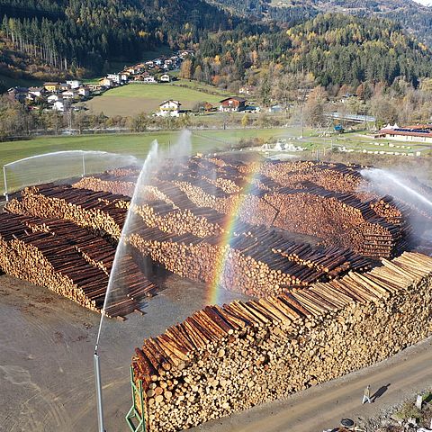 65.000 Kubikmeter Holz, das entspricht der erforderlichen Menge von 300 Einfamilienhäusern in Holzbauweise, können im Nasslager Ainet in der Qualität und im Wert erhalten werden. 