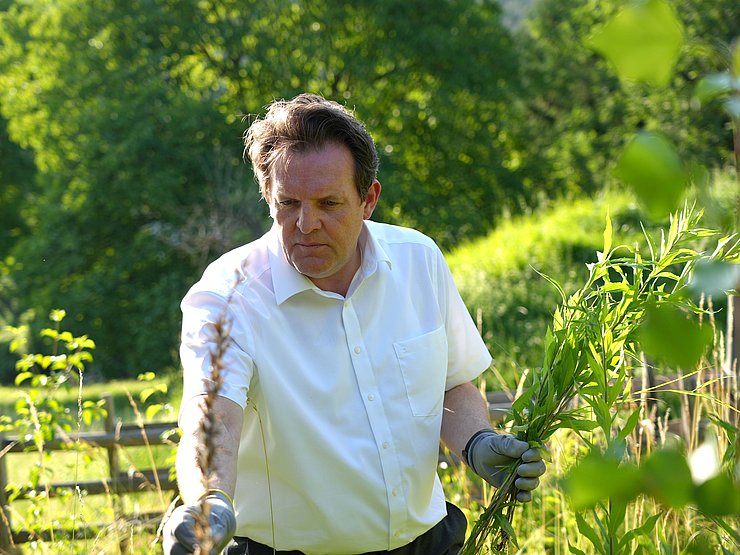 Zumtobel in grüner Wiese