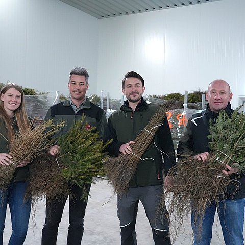 Klimafitte Wälder brauchen starke Wurzeln