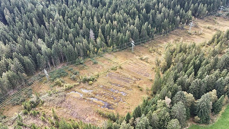 Luftaufnahme von Moorfläche