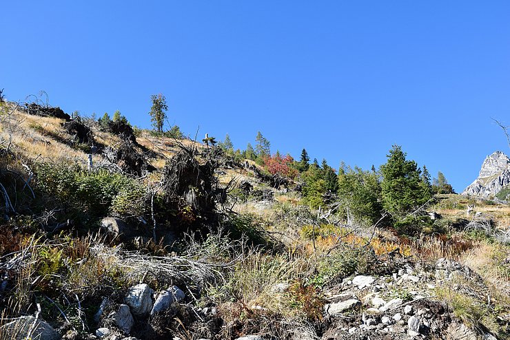 © Land Tirol/Jansenberger