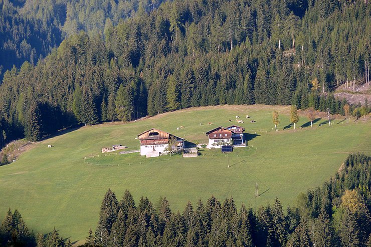 © Reinhold Weis Erbhof Waldhuber