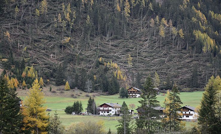 Föhnsturm holzte Wald in Osttirol ab: Glück im Unglück für die Bewohnerinnen der darunterliegenden Häuser.