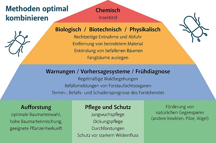 Diagramm mit der simulierte Borkenkäfer-Entwicklung in Neustift im Stubaital.