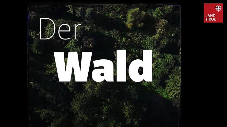 Youtube Poster Image