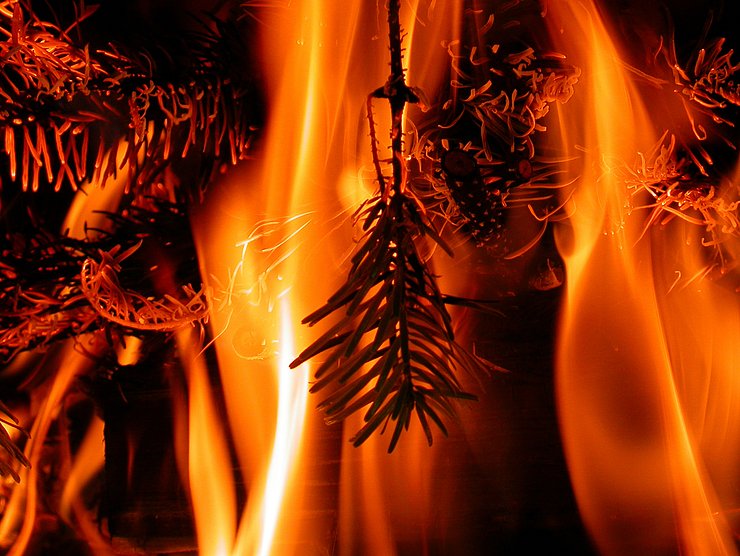 Sicherheitsreferent LHStv Geisler ersucht die Bevölkerung um besondere Rücksichtnahme im Wald wegen der in weiten Teilen Tirols herrschenden Waldbrandgefahr.