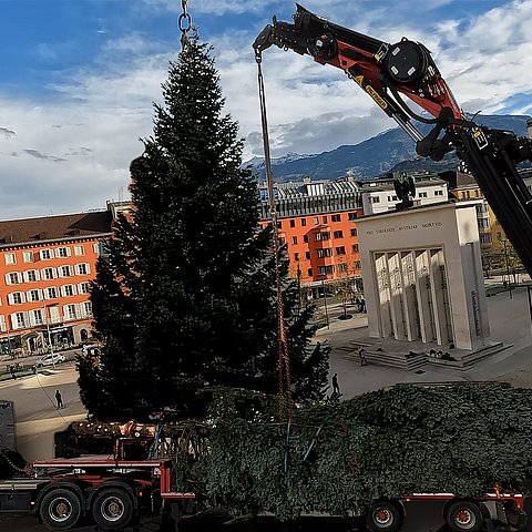 Christbaum für den Landhausplatz