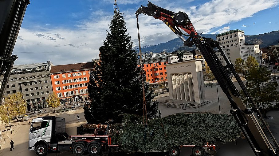 © Land Tirol / Christanell Christbaum für den Landhausplatz