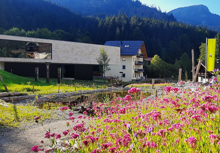 Blumenwiese