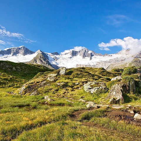 � Naturpark Zillertaler Alpen Naturschutzplan auf der Alm