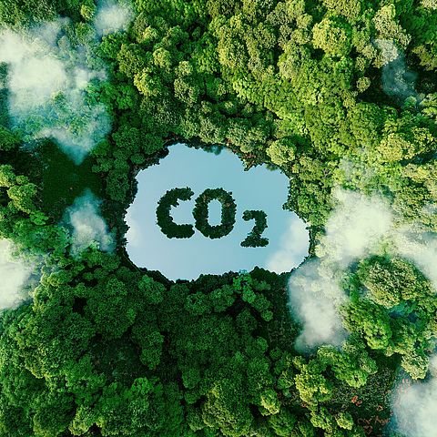 Urwald von oben mit einem CO2 Zeichen