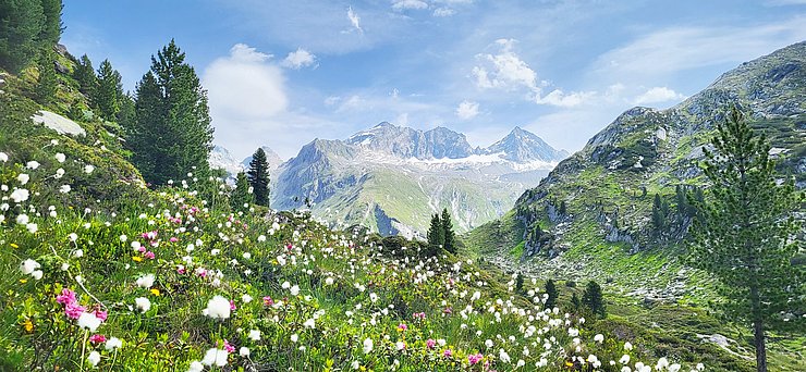 © Naturpark Zillertaler Alpen Landschaft