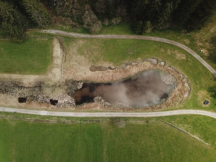 Erschbachweiher nach Beendigung der Grabungsarbeiten