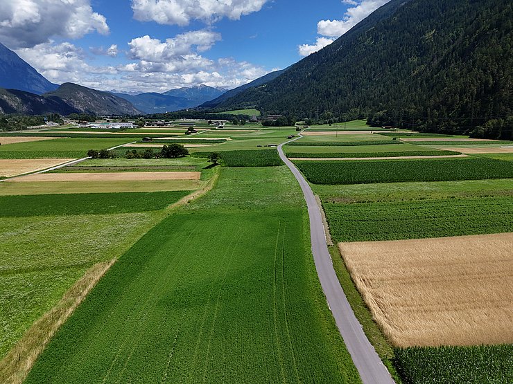 Äcker und Wiesen im Talboden bei Silz