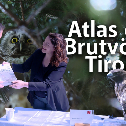 Tirols Naturschutzlandesrätin LHStv Ingrid Felipe 