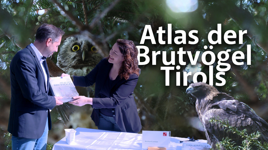 © Land Tirol / Christanell Tiroler Brutvogelatlas