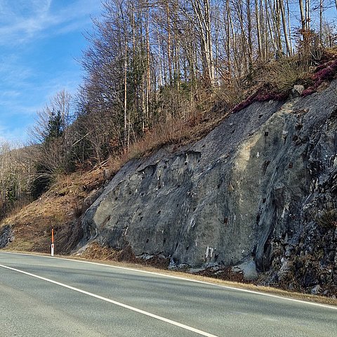 B 173 Eibergstraße: Sperre aufgrund von Holzfällungsarbeiten