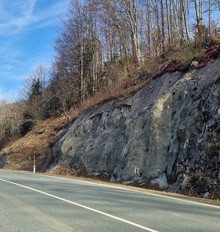 Straße mit toten Bäumen daneben