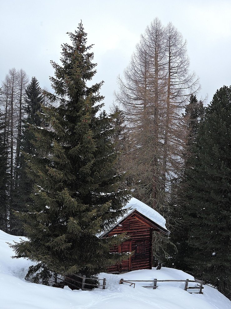 © Benedikt Kolp die kleine Söllberg Jagdhütte im Winter