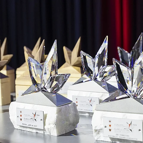 Call for entries: "Glanzleistung – young volunteers 2026"