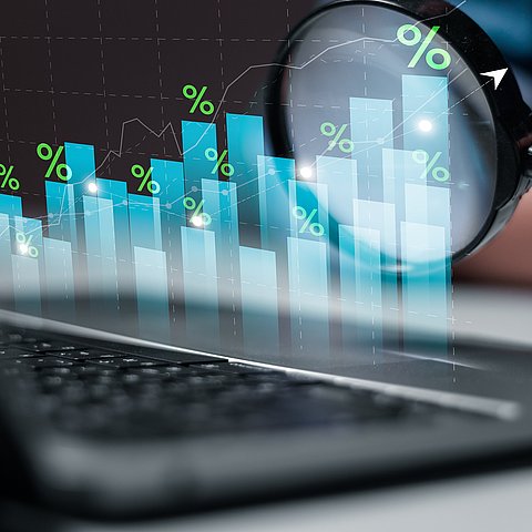 � 2427111879 Risikoaverse Finanzgebarung 2024