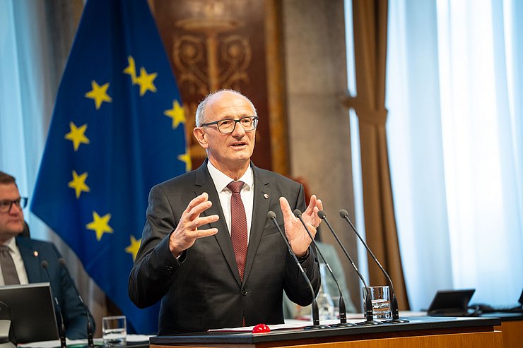 Mattle im Bundesrat redend