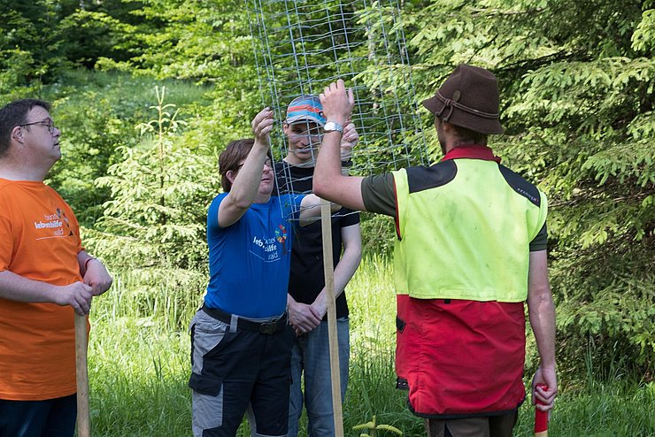 Projektes „bunter lebenshilfewald“