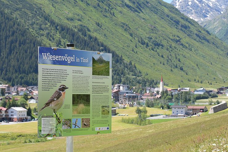    Talboden bei Galtür mit Informationstafel über Wiesenvögel