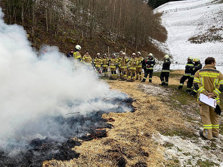 Feuerwehrleute bei einem Waldbrand