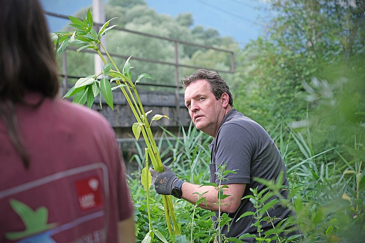 © Land Tirol/Trenker Landesrat René Zumtobel hält eine Pflanze in der Hand